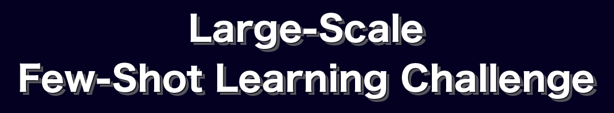 Large-Scale Few-Shot Learning Challenge